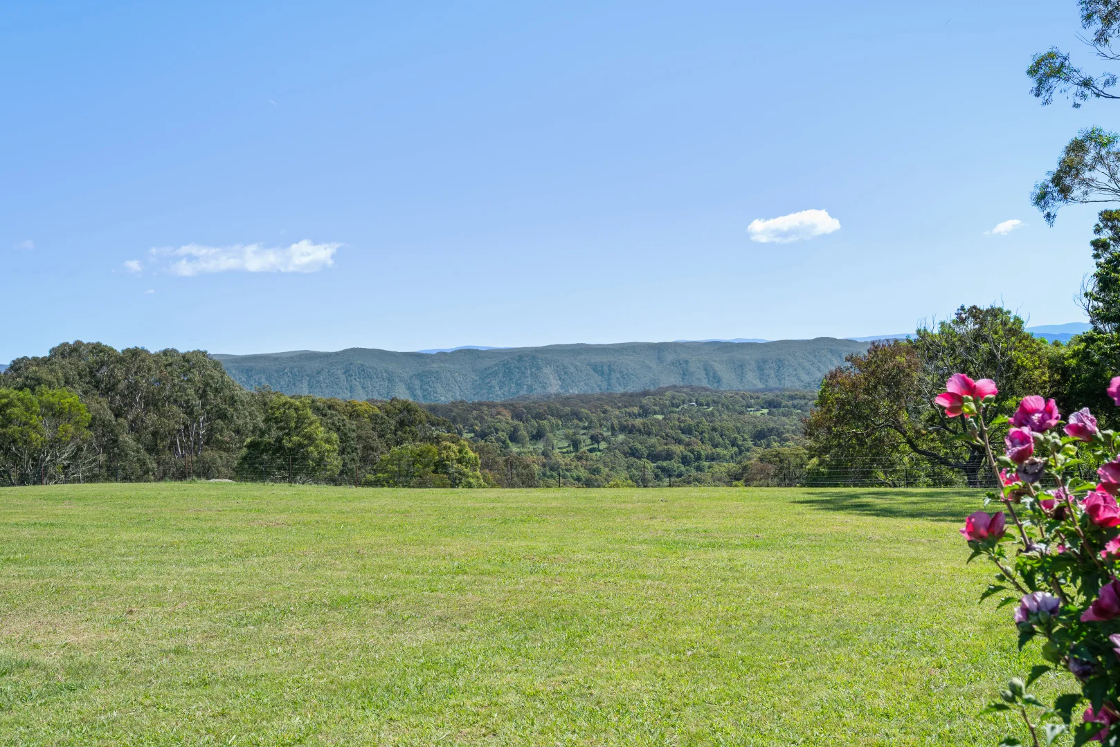 Additional image 22 of 438 Sawyers Ridge Road, Braidwood NSW 2622