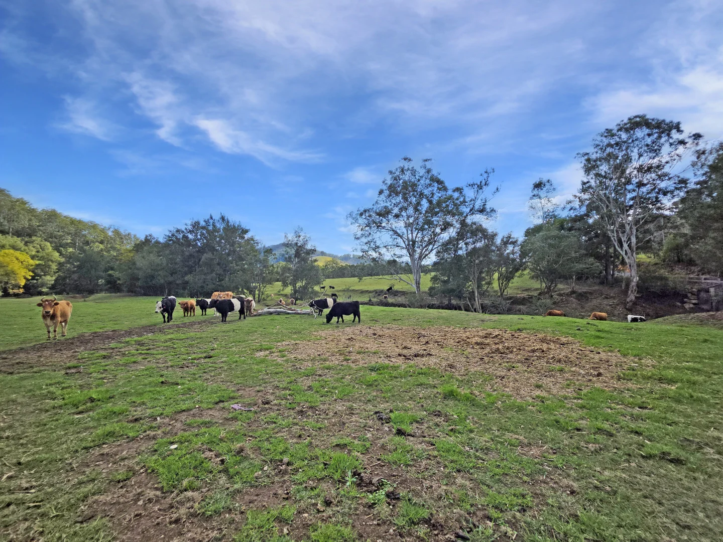Image 40