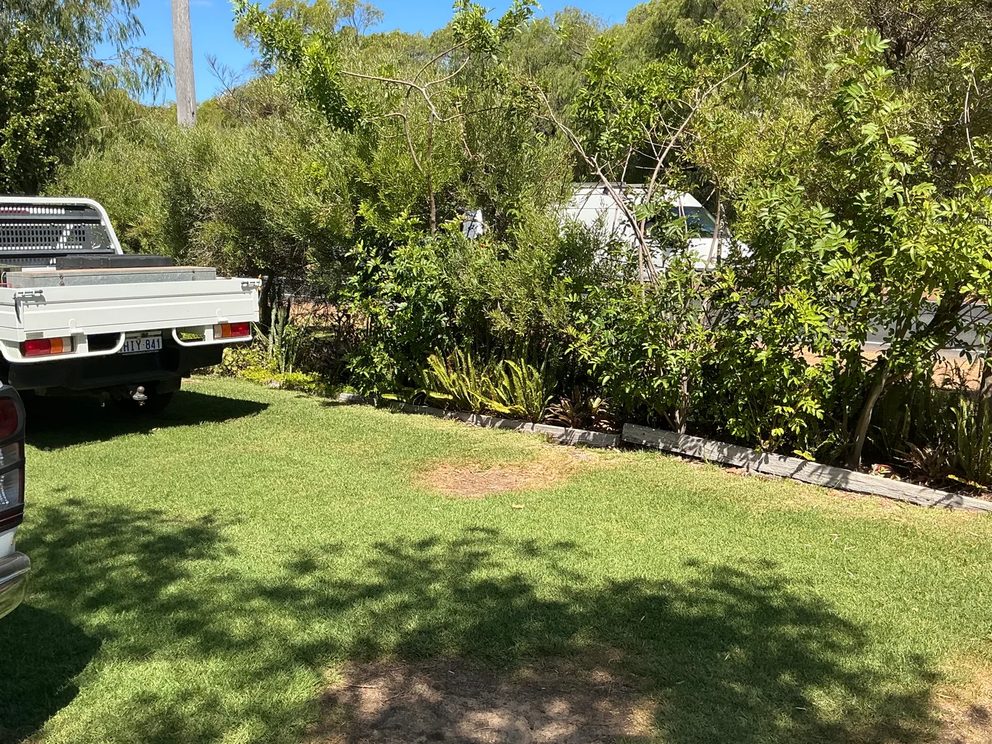 Image 19