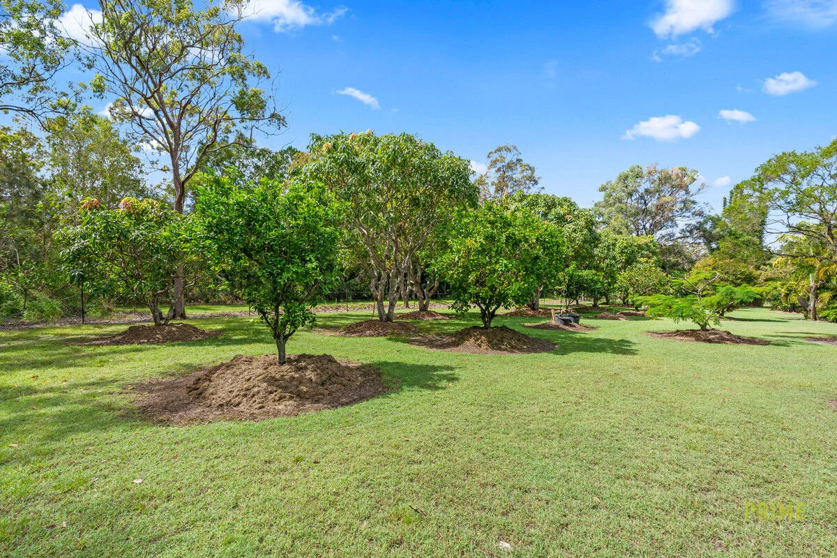 Additional image 34 of 119 Condor Drive, Sunshine Acres QLD 4655