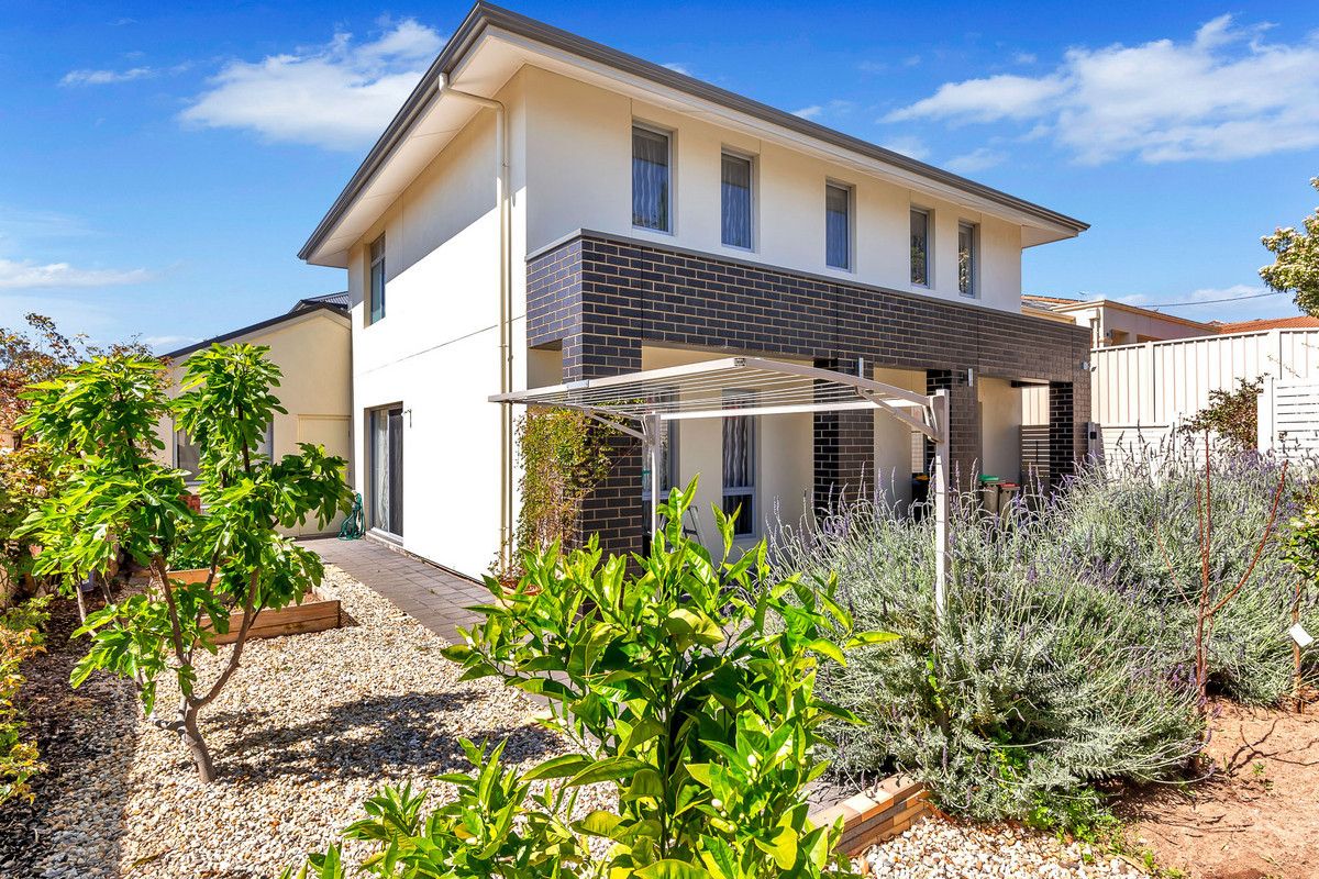 46 Wear Avenue, Marden SA 5070, Image 0