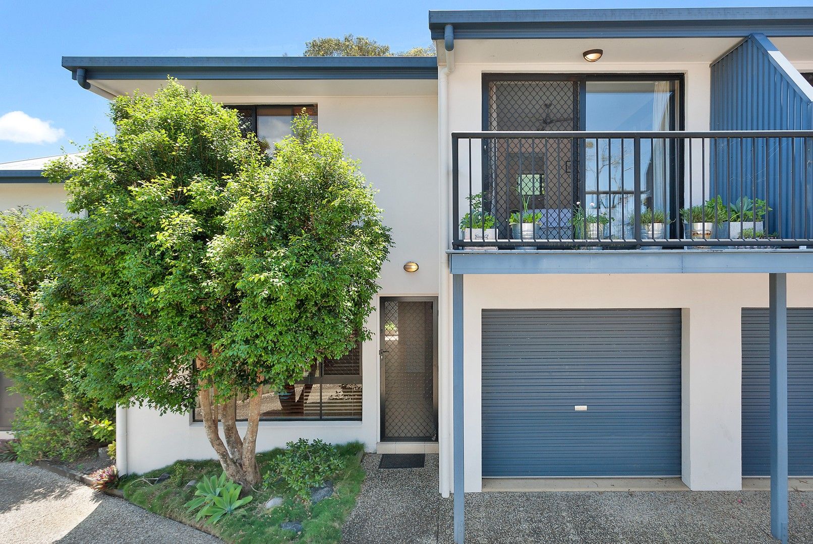 6/26 Greenoaks Drive, Coolum Beach QLD 4573 Townhouse For Rent Domain