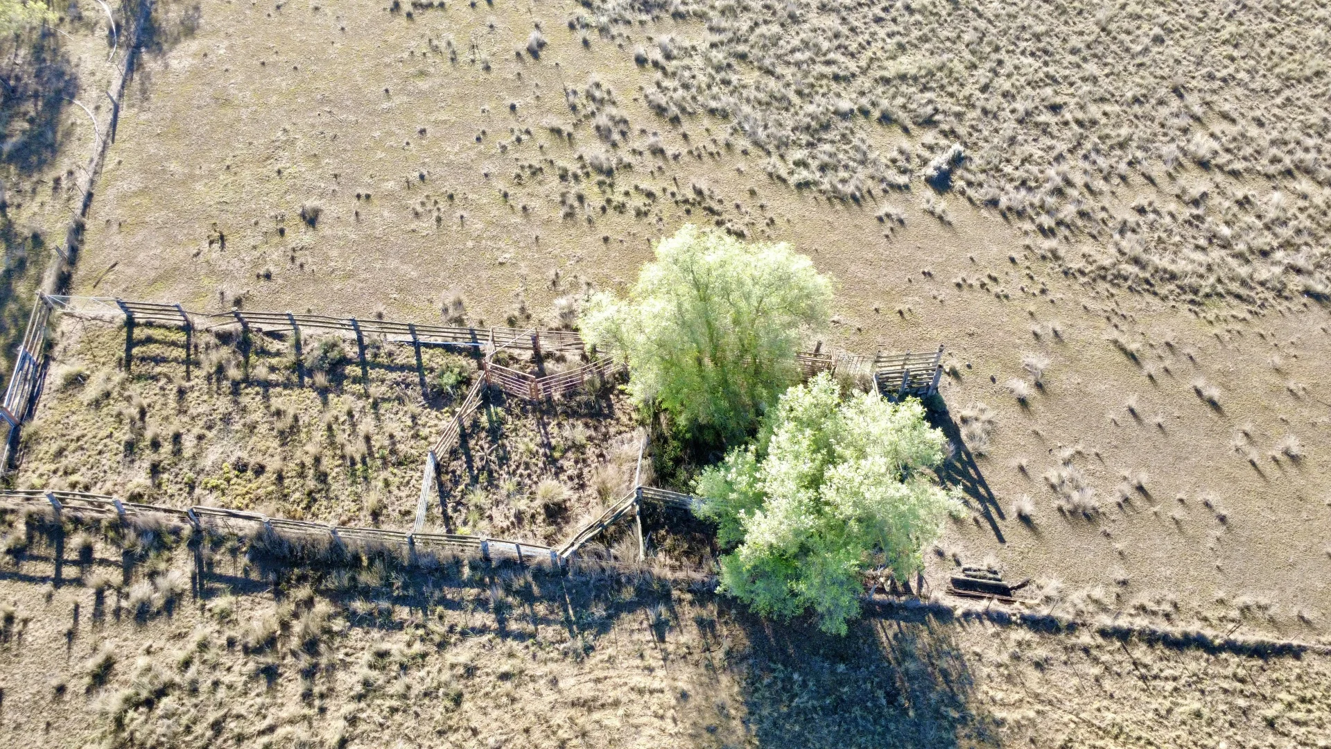 Additional image 10 of "Waverly Paddock" Waverley Road Waverly (Via), Scone NSW 2337