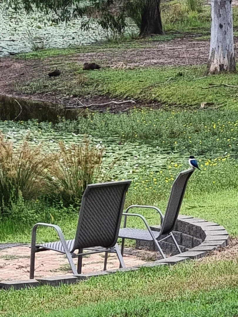 Additional image 33 of 64 Ghost Gum Road, Sharon QLD 4670