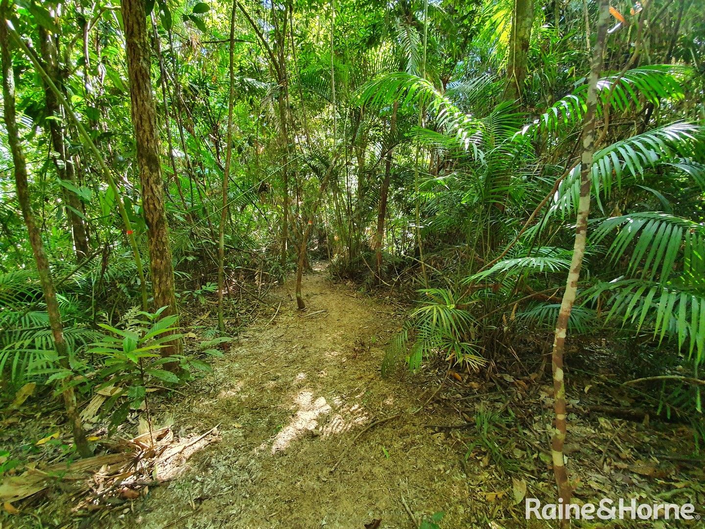 332 Cape Tribulation Road, Cow Bay, Daintree QLD 4873, Image 1