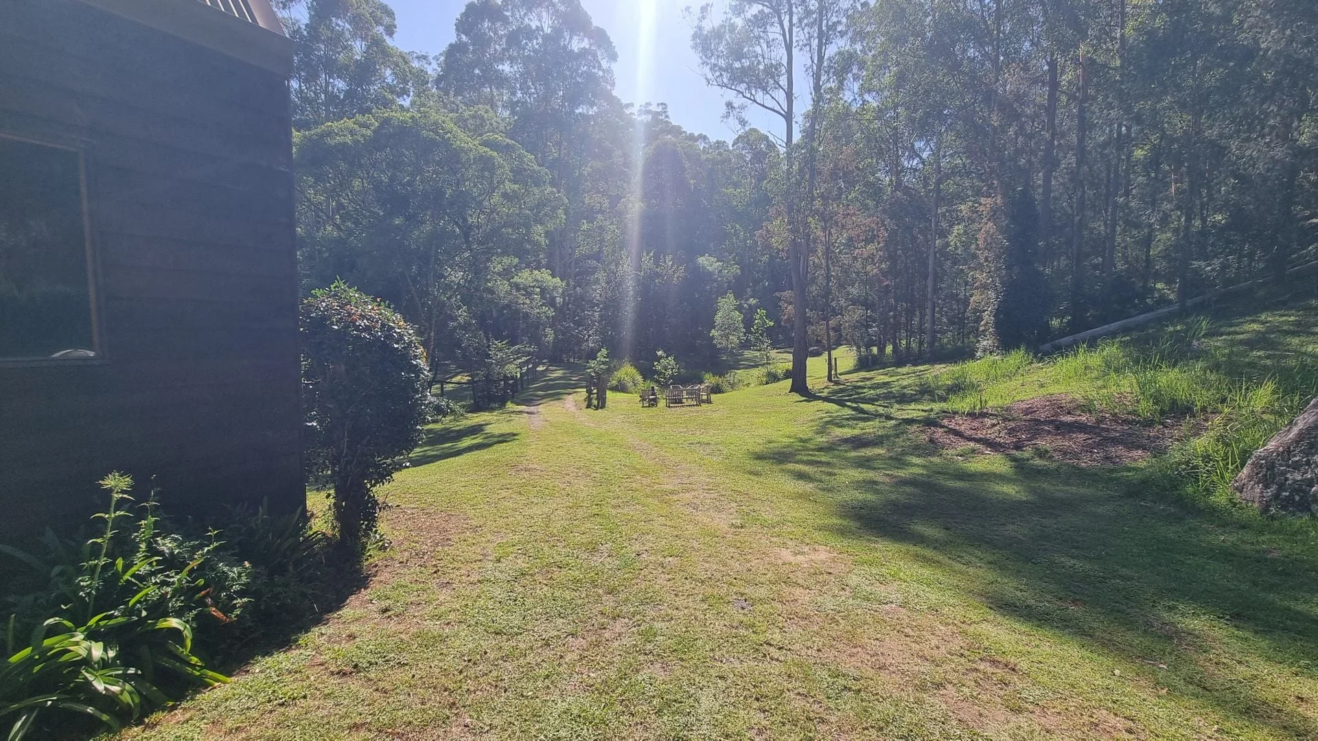 Image 31