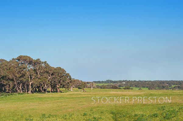 Lot 64 Cape Naturaliste Road, Naturaliste WA 6281, Image 2