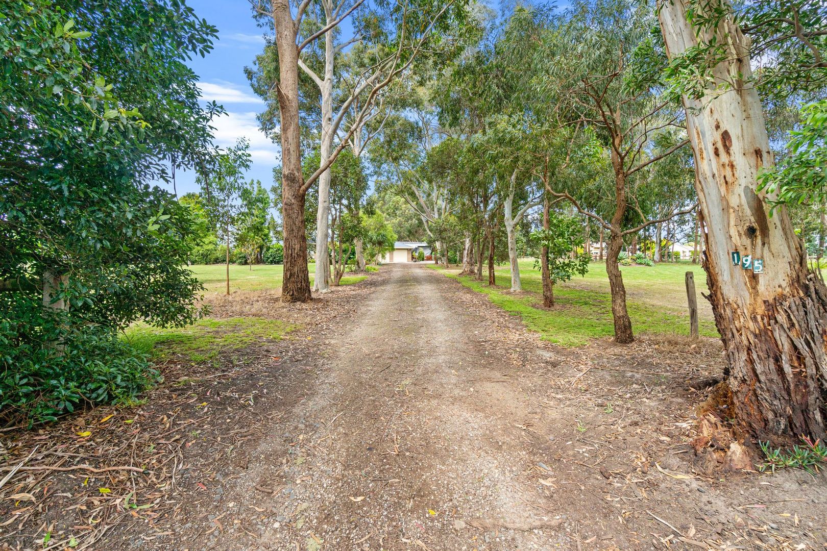 195 Trews Road, Jeeralang Junction VIC 3840, Image 2