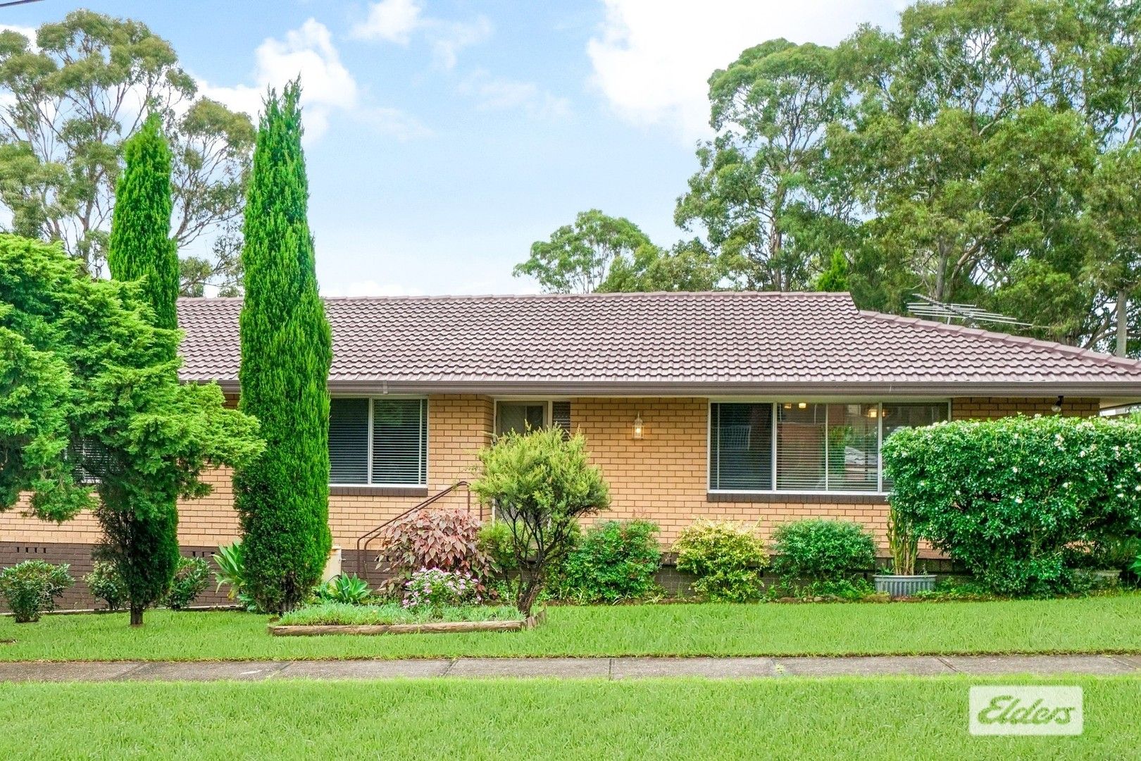 23 Vancouver Avenue, Toongabbie NSW 2146, Image 1