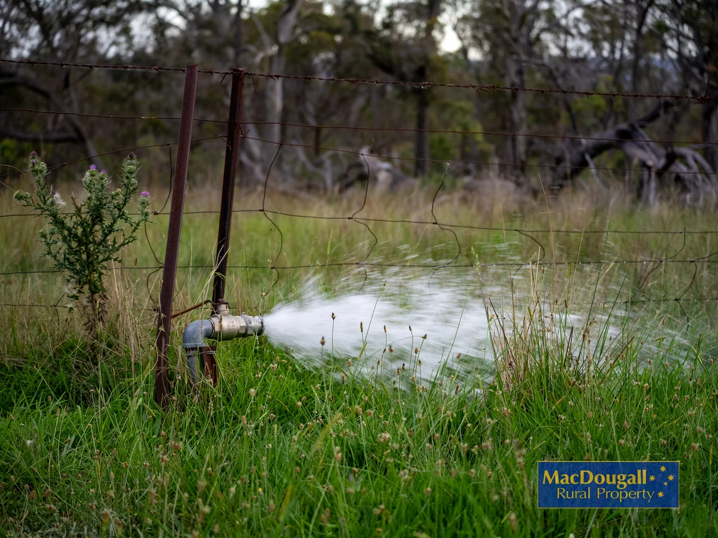 Additional image 9 of 6832 New England Highway, Kentucky NSW 2354