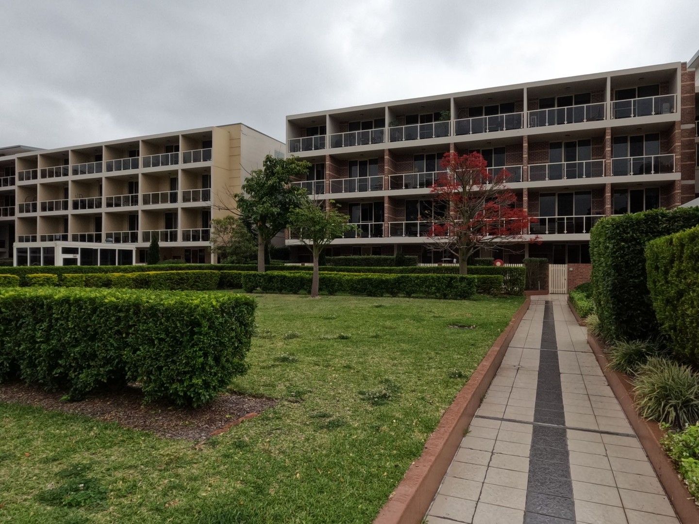 1 bedrooms Apartment / Unit / Flat in 18 Day Street north SILVERWATER NSW, 2128