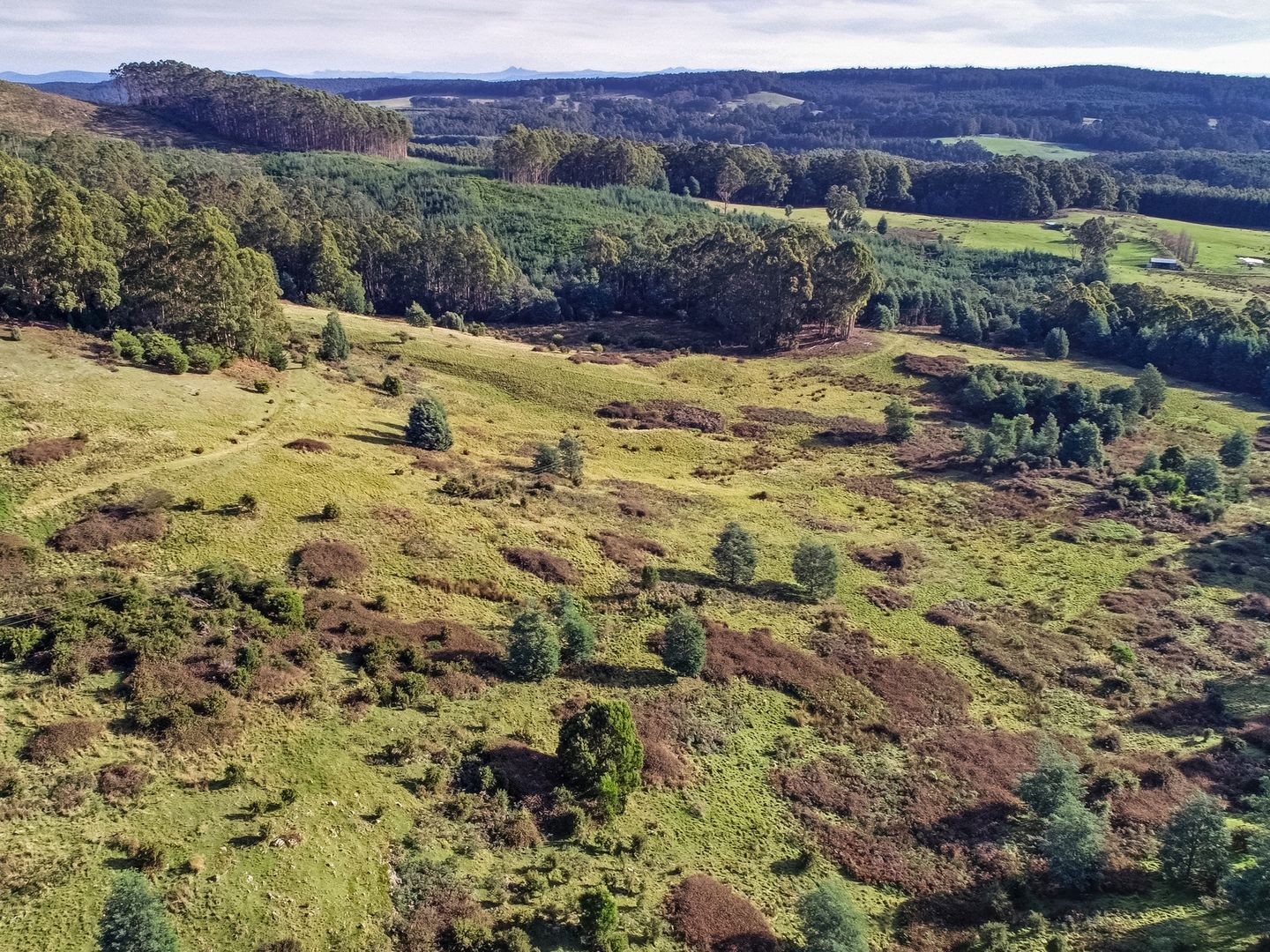 Lot 4 Marsh Road, Nubeena TAS 7184, Image 1