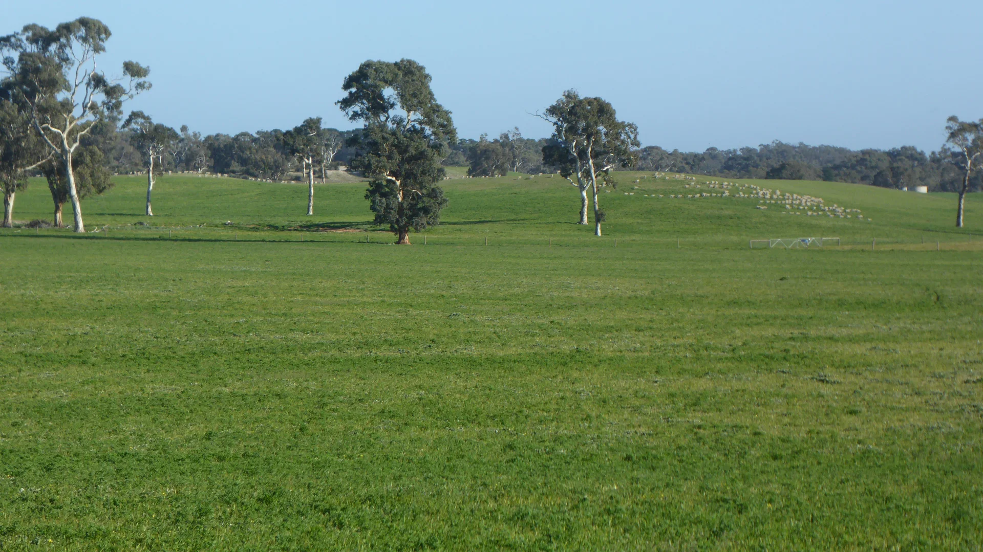 Image 17