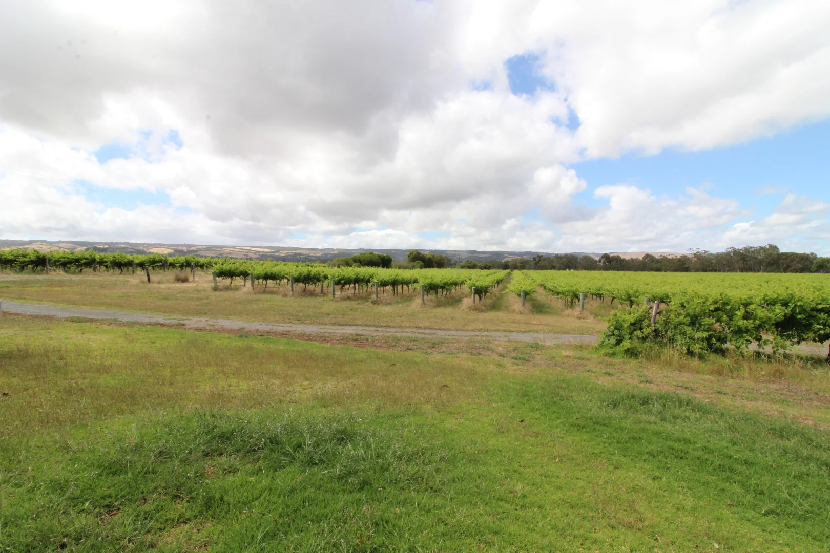 Additional image 8 of 91 Branson Road, McLaren Vale SA 5171