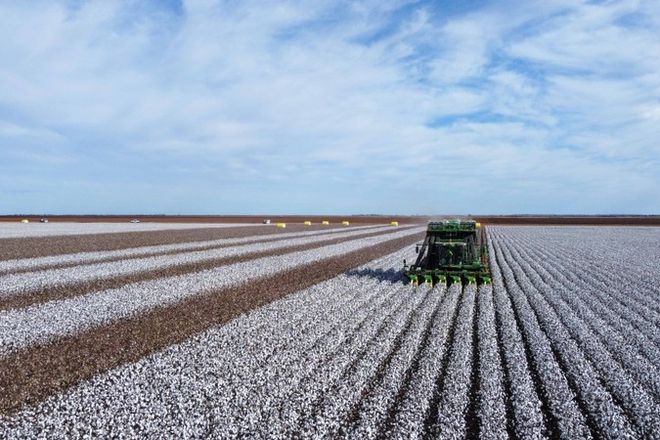 Picture of Gundaline Sturt Highway, CARRATHOOL NSW 2711