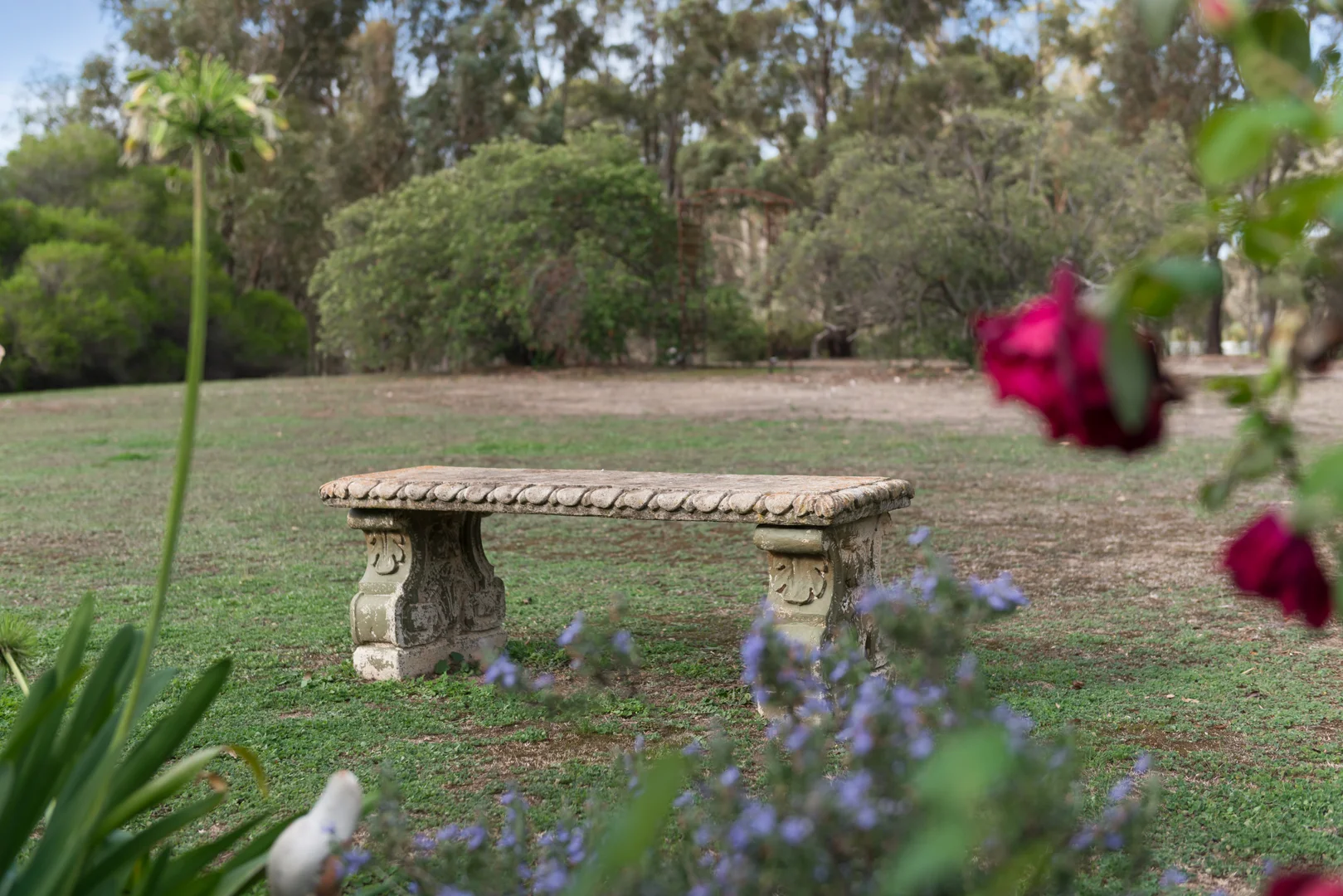 Image 13