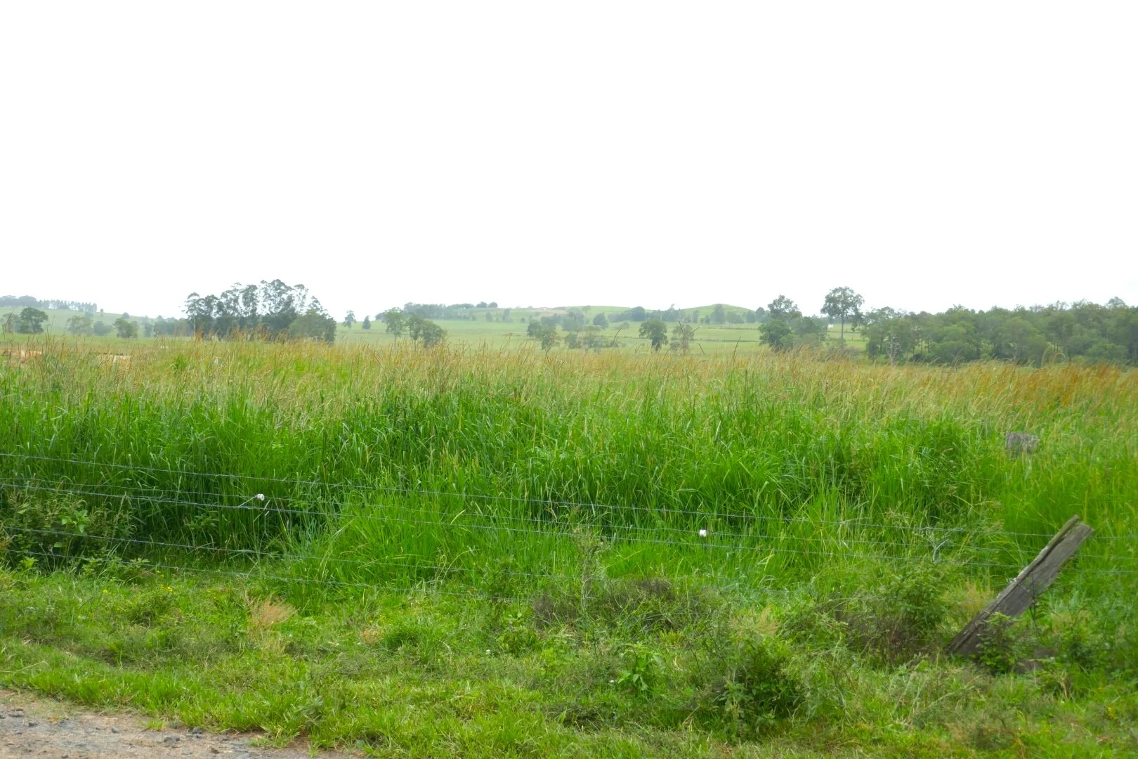 Image 41