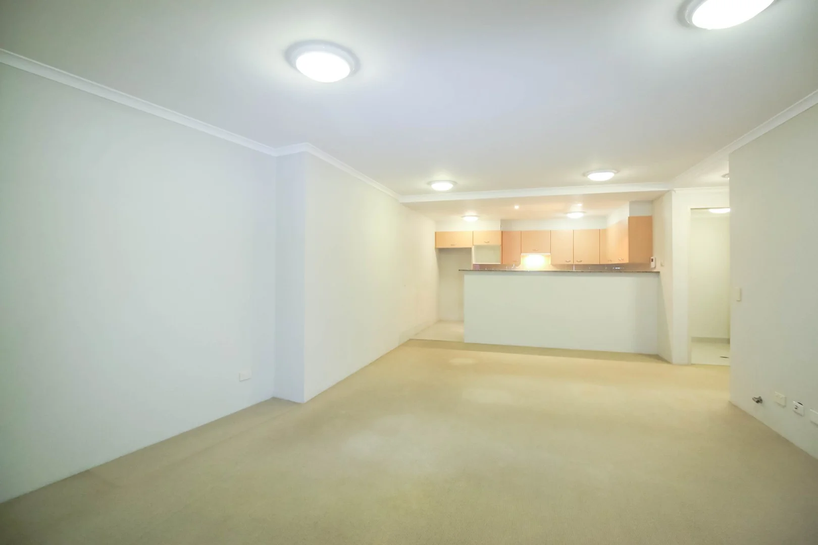 12X Bowman St, Pyrmont NSW 2009
