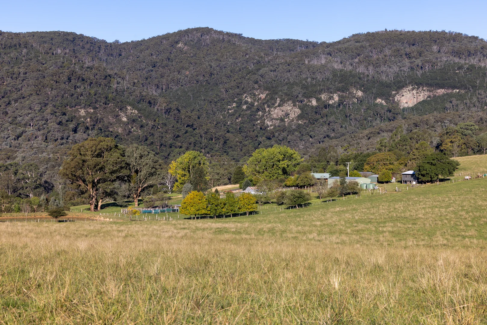 Image 29