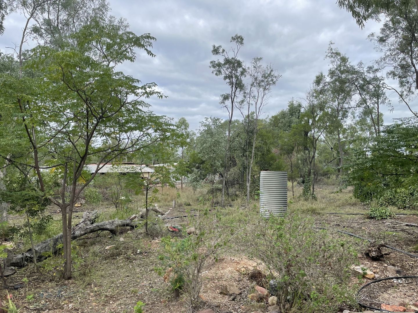 Rubyvale QLD 4702 House for Sale 119,000 Domain