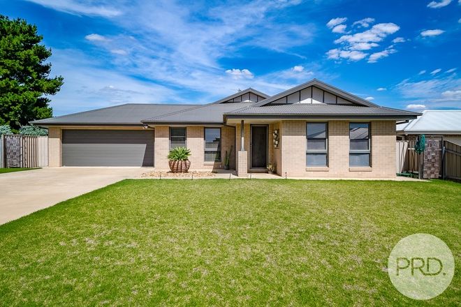 Picture of 28 Guttler Street, URANQUINTY NSW 2652