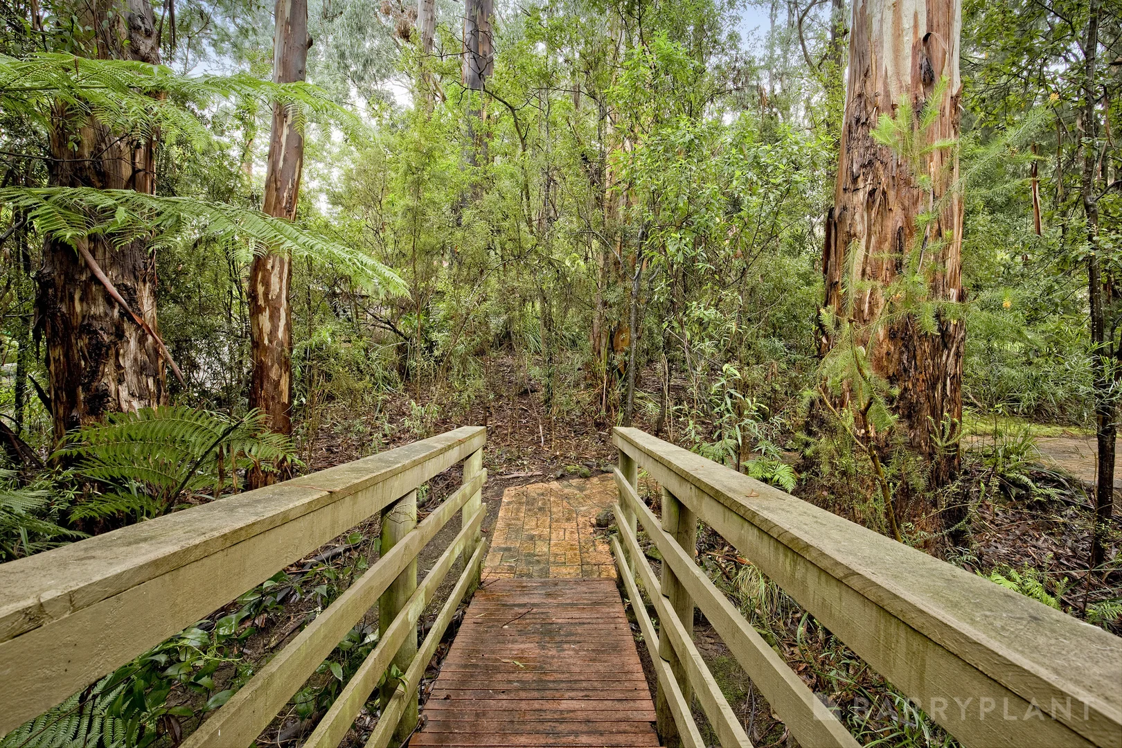 Image 13