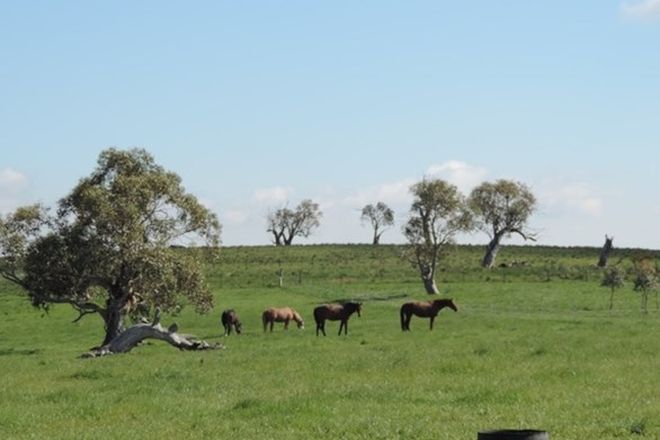 Picture of 75 Telegraph Hill Road, COLLECTOR NSW 2581