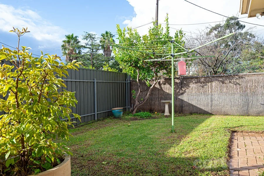 Image 15