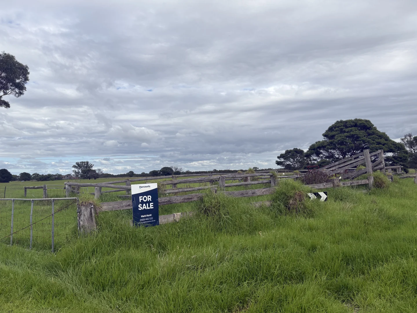 Image 19