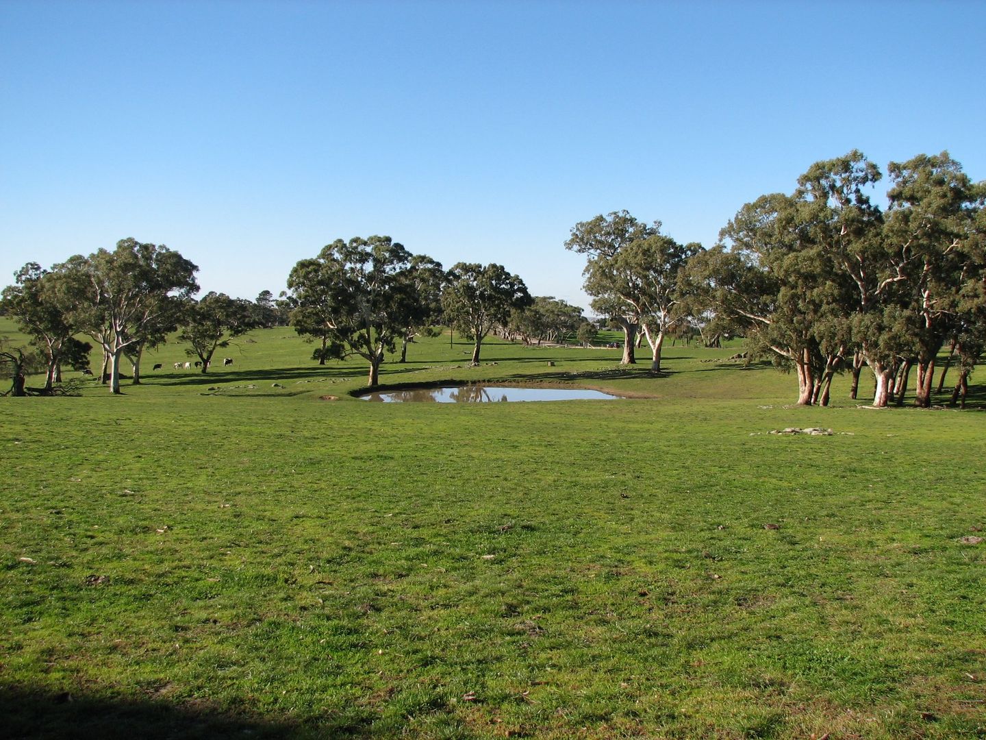 Lot 6409 Sheoak Hill Road, Mount Torrens SA 5244, Image 1