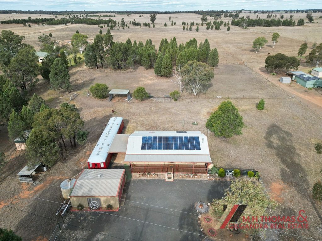 62 Quealeys Lane, Gilgandra NSW 2827, Image 1