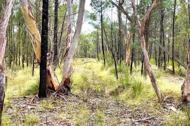 Picture of Lot 7/1037 Westport Road, JACKS CREEK NSW 2390