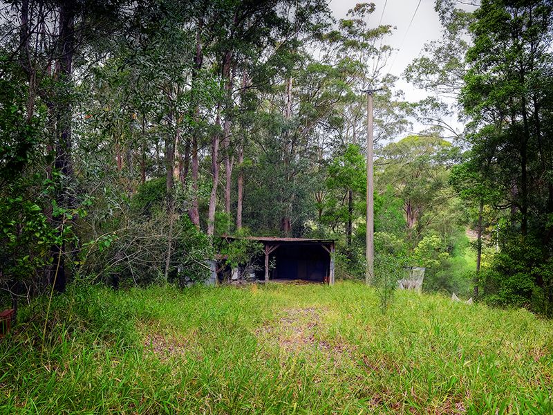 849 Gold Coast-Springbrook Road, Austinville QLD 4213, Image 2