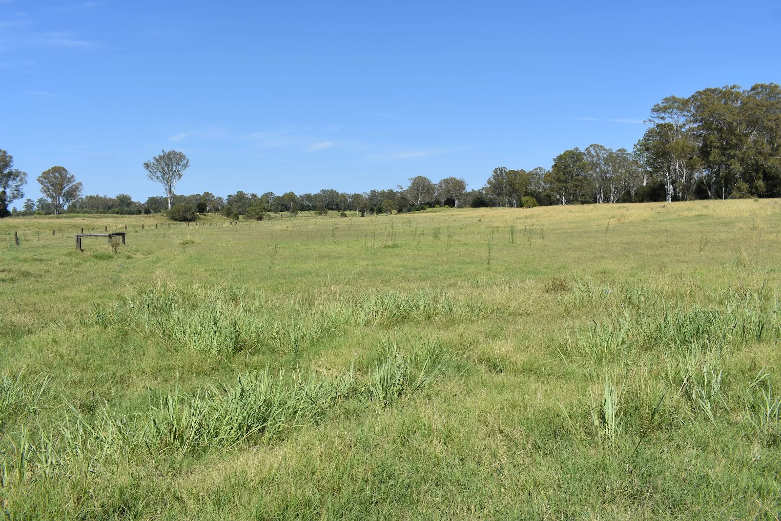 Additional image 14 of lot 103 Pidgeons Road, Tiaro QLD 4650