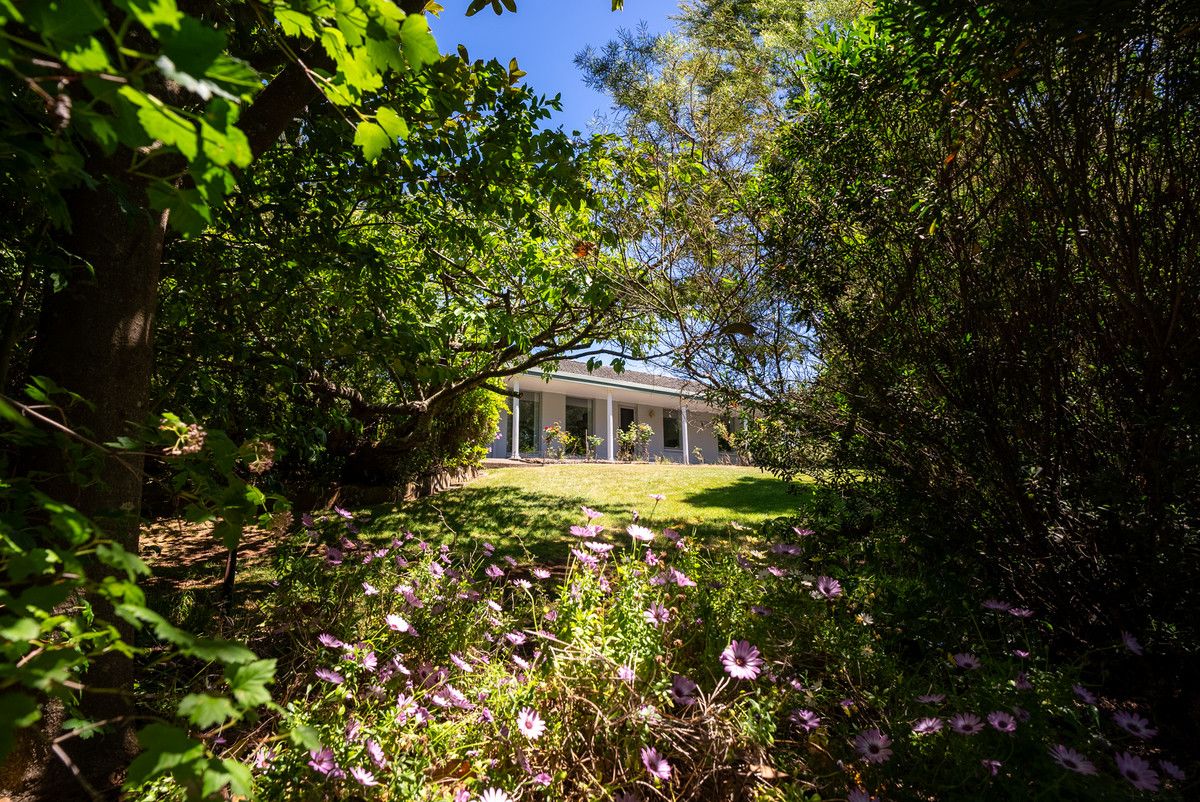 382 Oppenheims Road, Moriarty TAS 7307, Image 2
