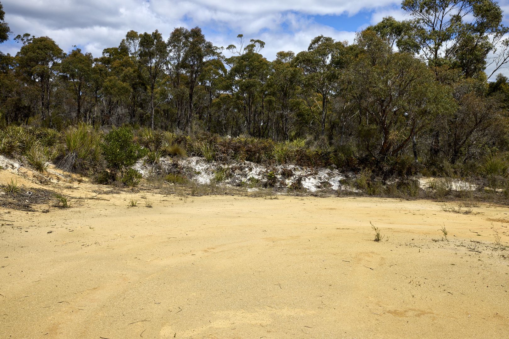 Old Water House Road, North Scottsdale TAS 7260, Image 1