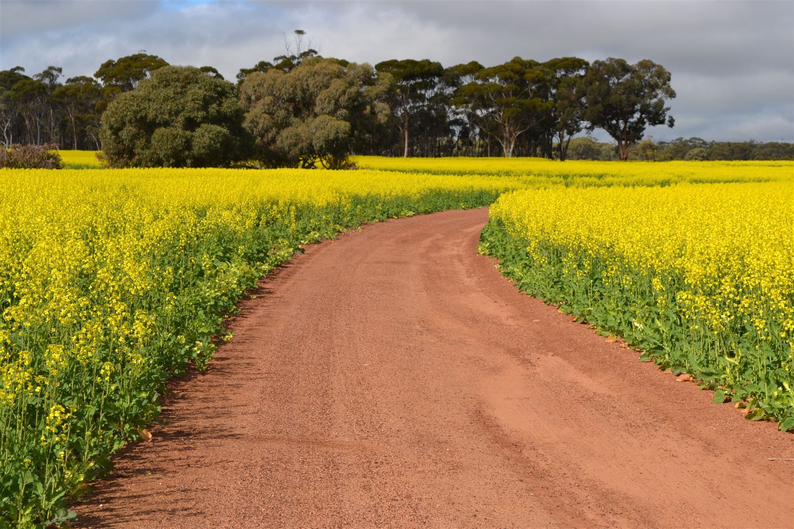 . 'Wells" Dangin North Road, Quairading WA 6383, Image 1