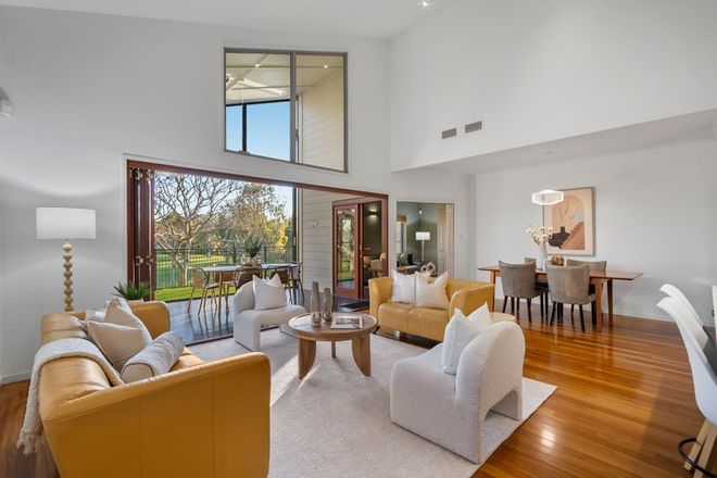 97 Emerald Street Murarrie 4172 - Image 4