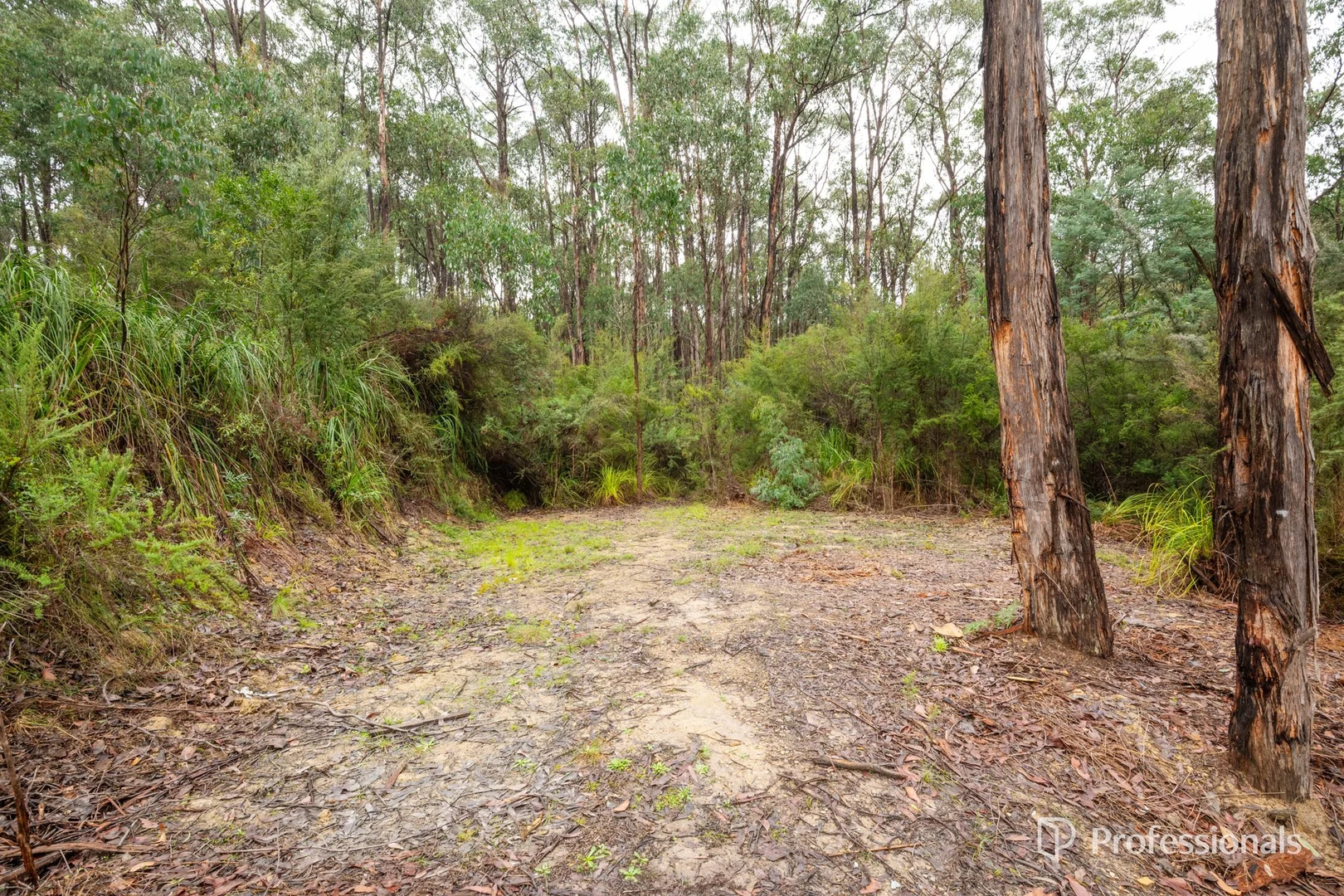 Image 10