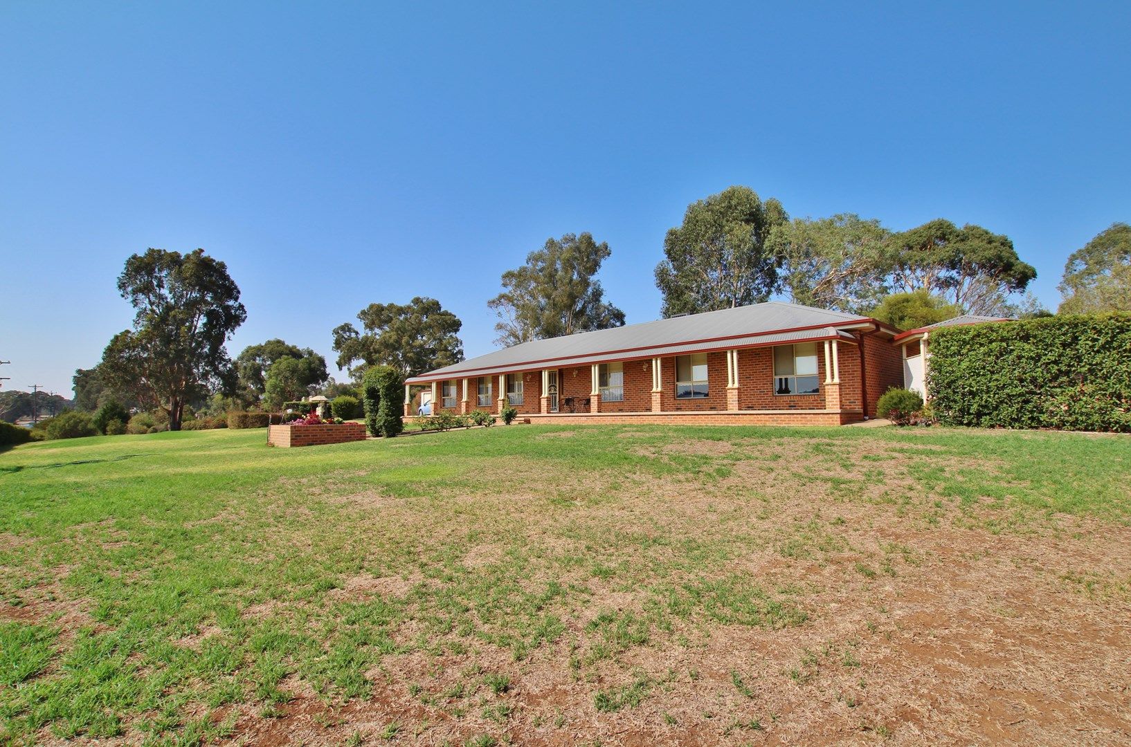 1395 Kingsvale Road, Young NSW 2594, Image 0