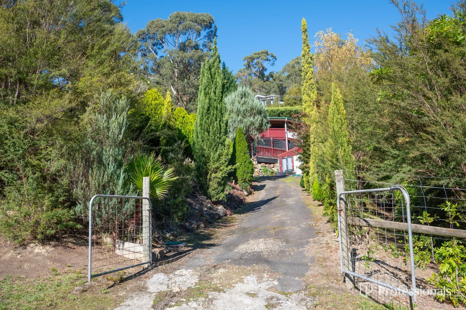Image 6