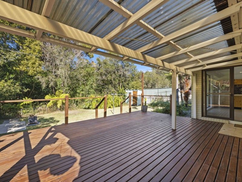 3 Halpin Street, Bellingen NSW 2454 House For Rent Domain