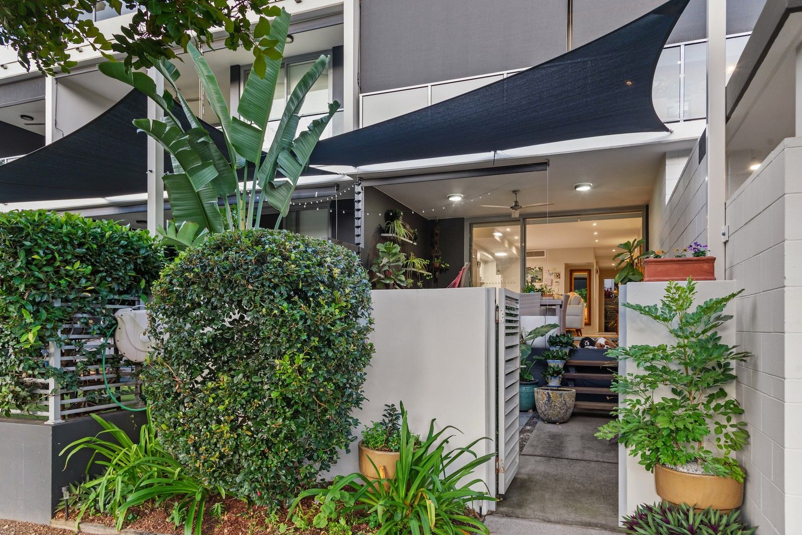 3/70 Love Street, Bulimba QLD 4171, Image 1