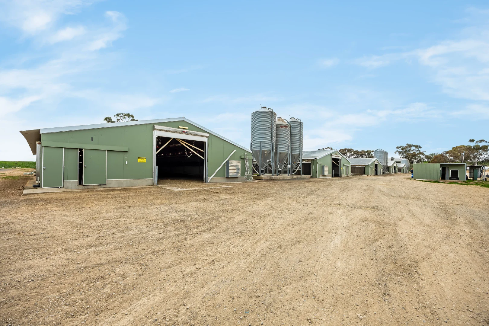 Image 10