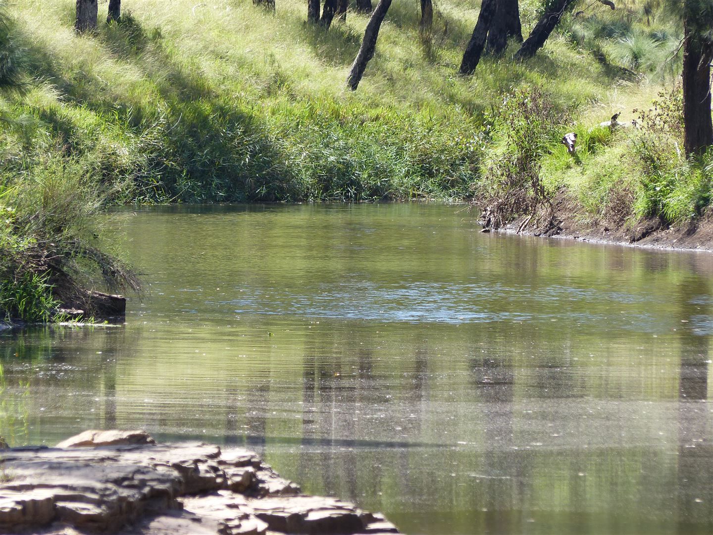 . 'Warrong', Injune QLD 4454, Image 2