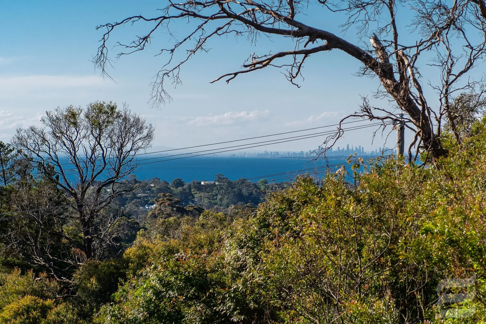 20 Bellbird Road, Mount Eliza VIC 3930 | Domain