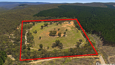 Picture of 1587 Kentucky Road, NEVILLE NSW 2799