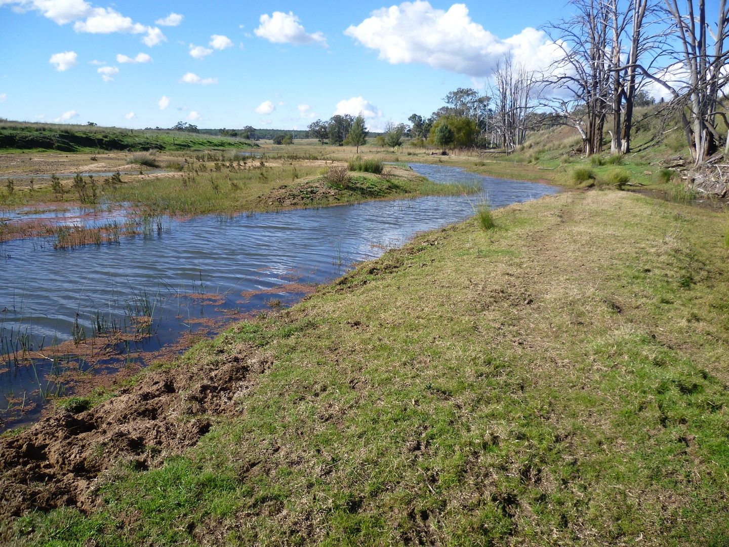 714 Piambra Road, Binnaway Property History & Address Research Domain