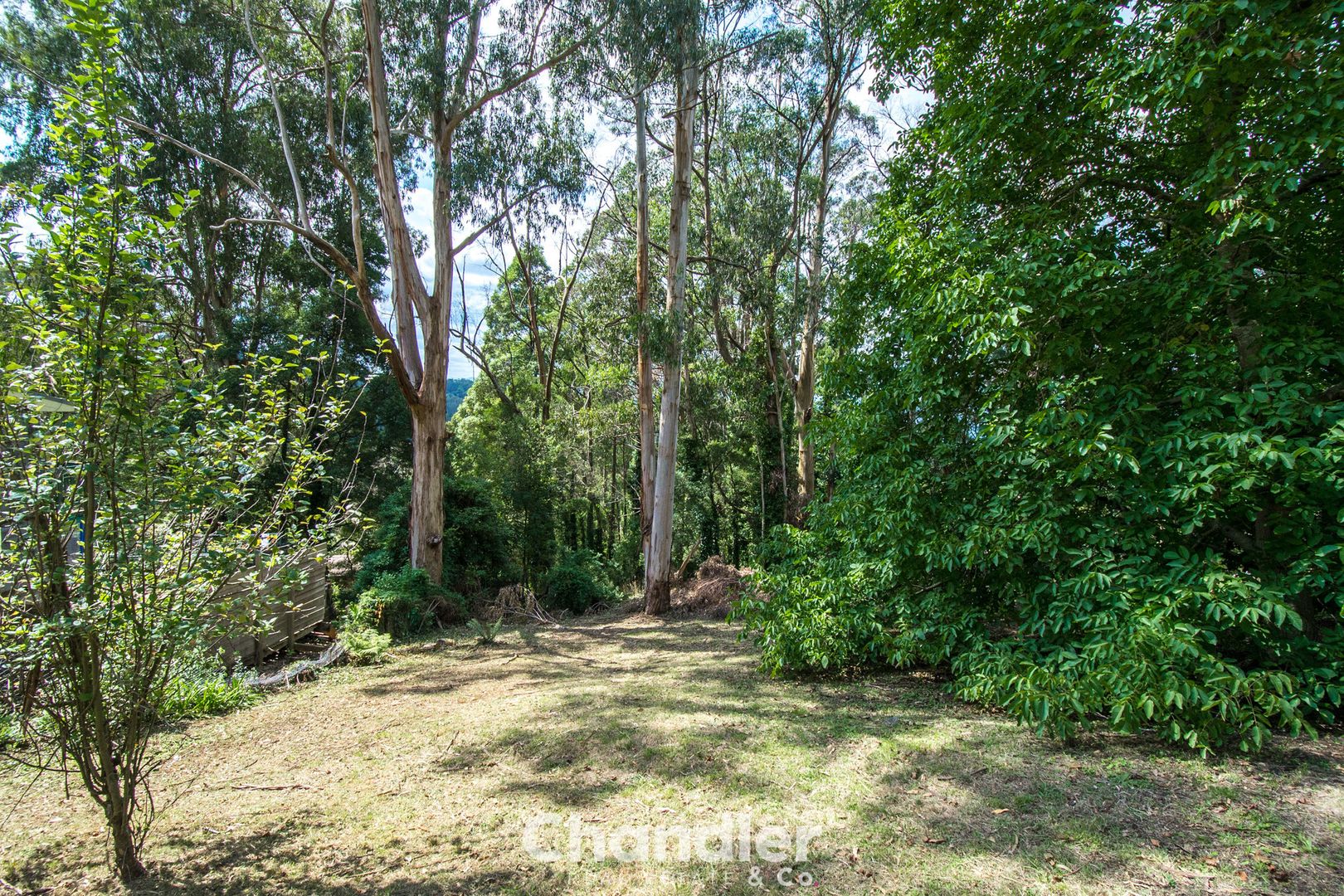 20 Caroline Crescent, Kalorama VIC 3766, Image 2