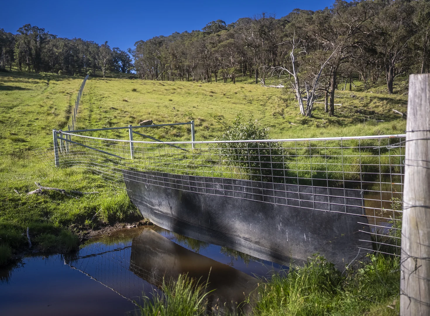 Additional image 23 of 161 Hickeys Road, Wongwibinda NSW 2350